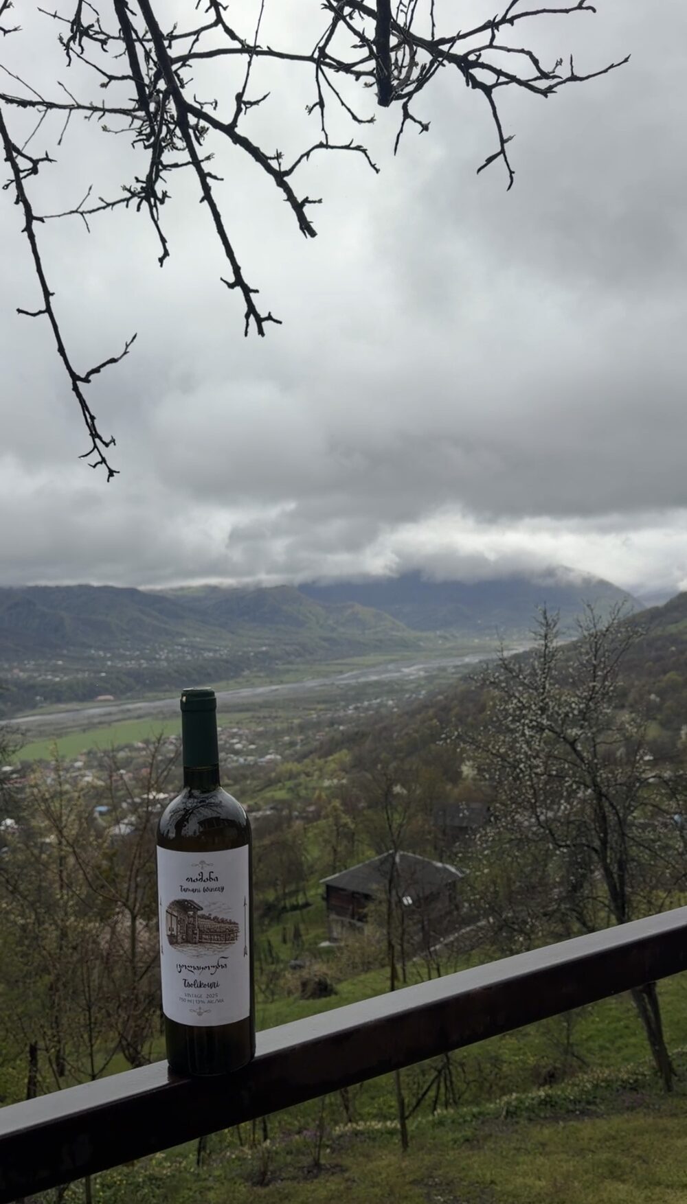 Tamani Estate Tsolikouri bottle overlooking the Lechkhumi valley